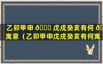 乙卯甲申 💐 戊戌癸亥有何 🦊 寓意（乙卯甲申戊戌癸亥有何寓意和象征）